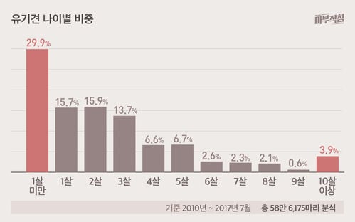 6일 동안 "1000마리" 버렸다. 연휴가 불러운 "악순환"현장 | 인스티즈