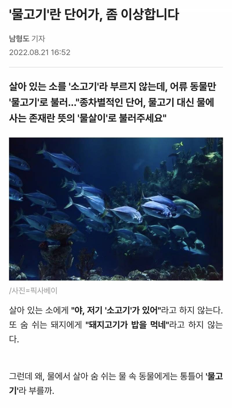 현재 1000플 터진 물고기 명칭 논란..JPG | 인스티즈