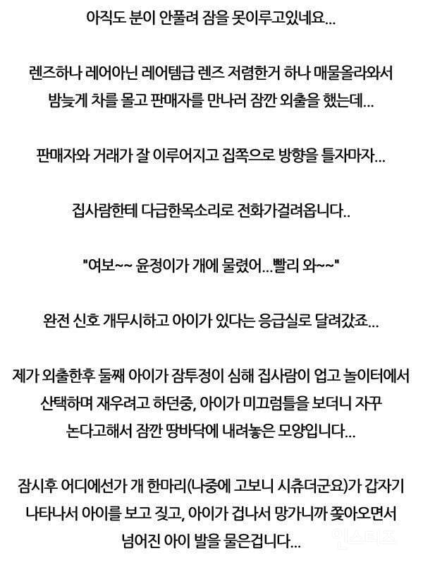 딸 물어버린 개를 12층에서 던진 썰 | 인스티즈