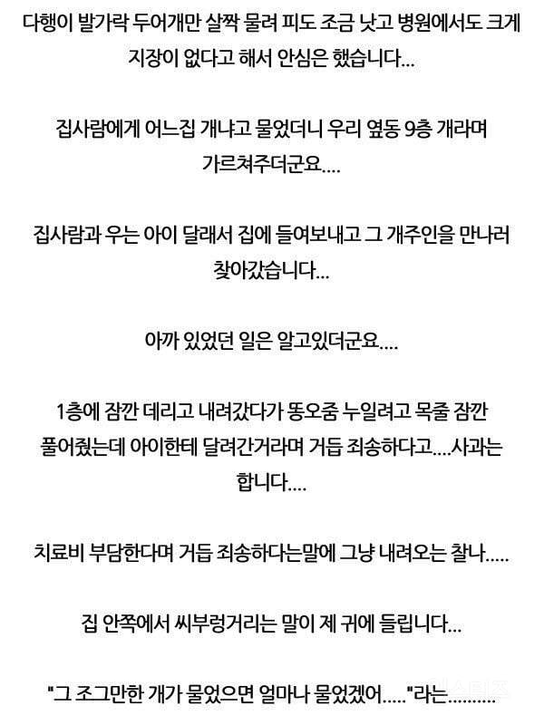 딸 물어버린 개를 12층에서 던진 썰 | 인스티즈