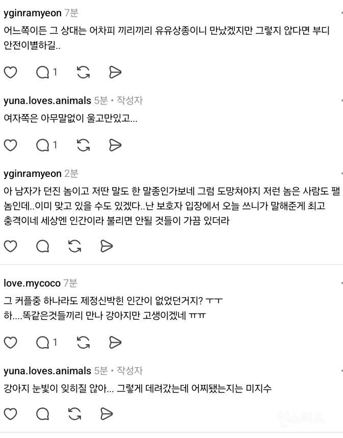 수의사가 진료 중 들었던 말 | 인스티즈