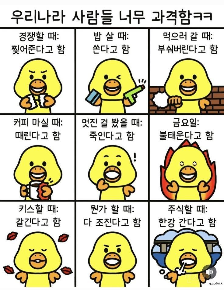우리나라 사람들 너무 과격함 | 인스티즈