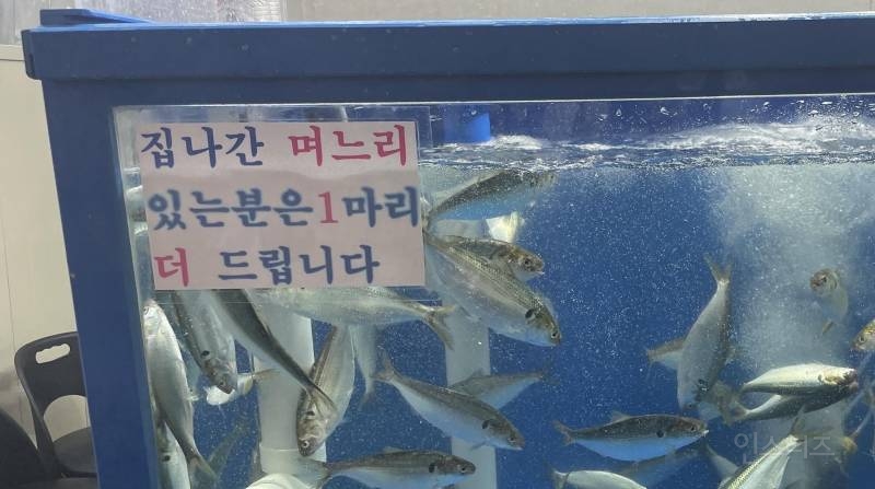 집나간 며느리 있는 분은.jpg | 인스티즈