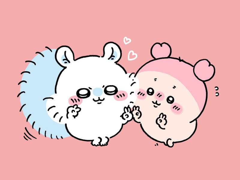 [잡담] 모몽가를 챙기는 카니 🤝 | 인스티즈
