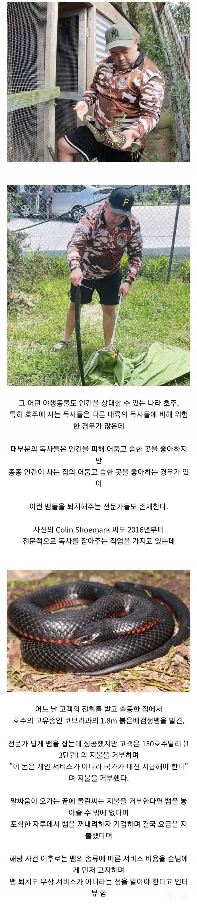 먹튀가 불가능한 서비스 업종 | 인스티즈