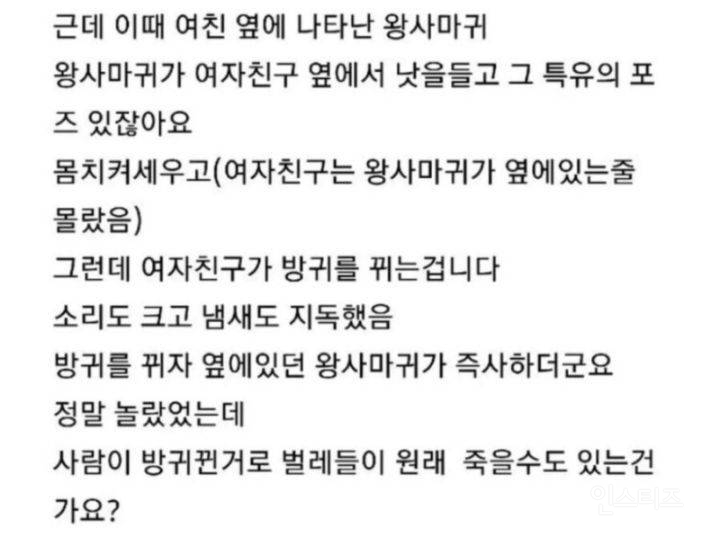 여자친구 방귀로 사마귀가 죽었어요 | 인스티즈