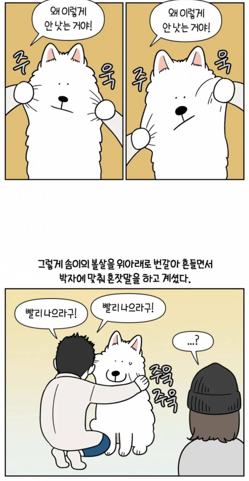 최애들을 맘껏 볼 수 있지만 최애들에게 미움받는 직업 | 인스티즈