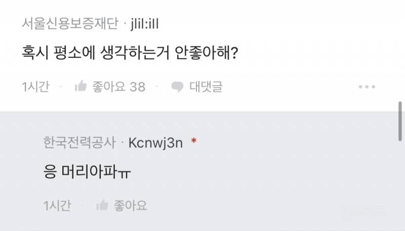 보충제 버리다가 변기 막힌 블라인 | 인스티즈