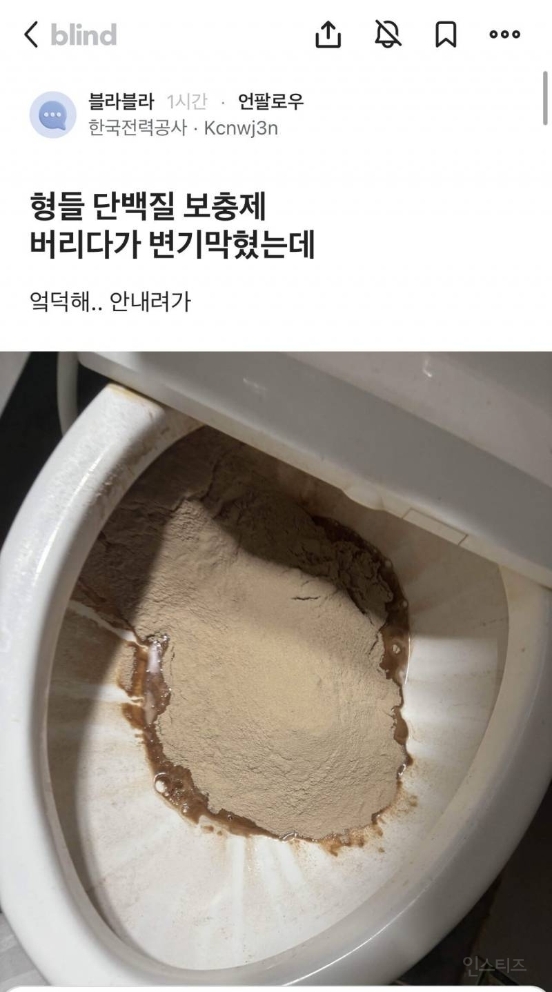 보충제 버리다가 변기 막힌 블라인 | 인스티즈