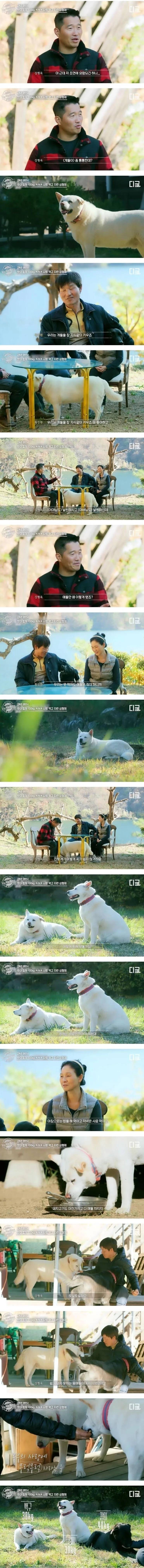 강형욱도 처음 보는 통통한 진돗개 | 인스티즈