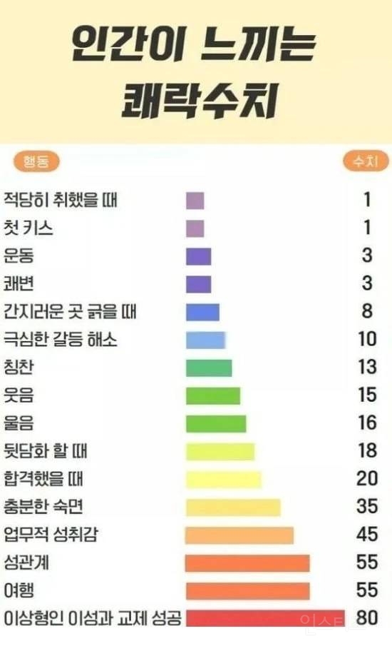 인간이 느끼는 쾌락 수치 | 인스티즈