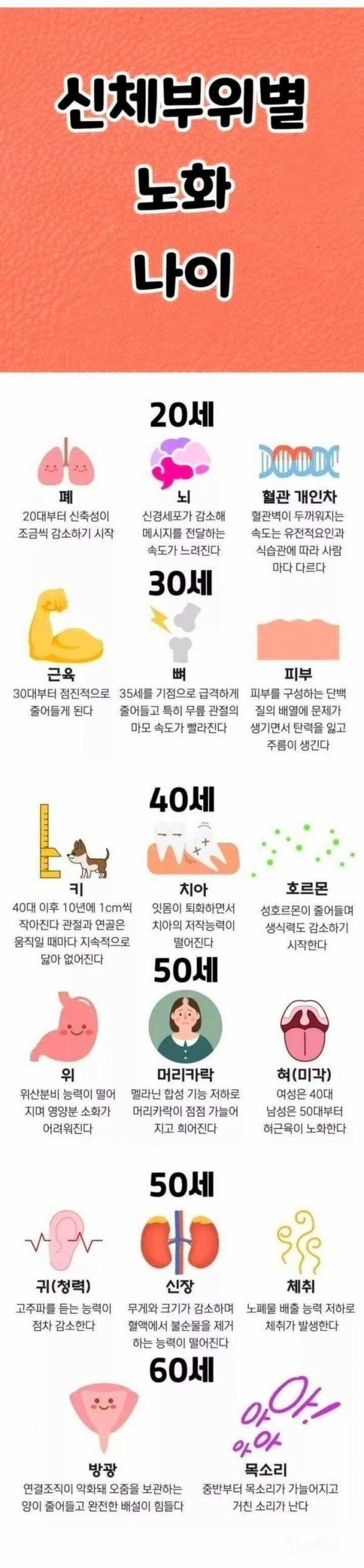 신체부위별 노화 나이 | 인스티즈