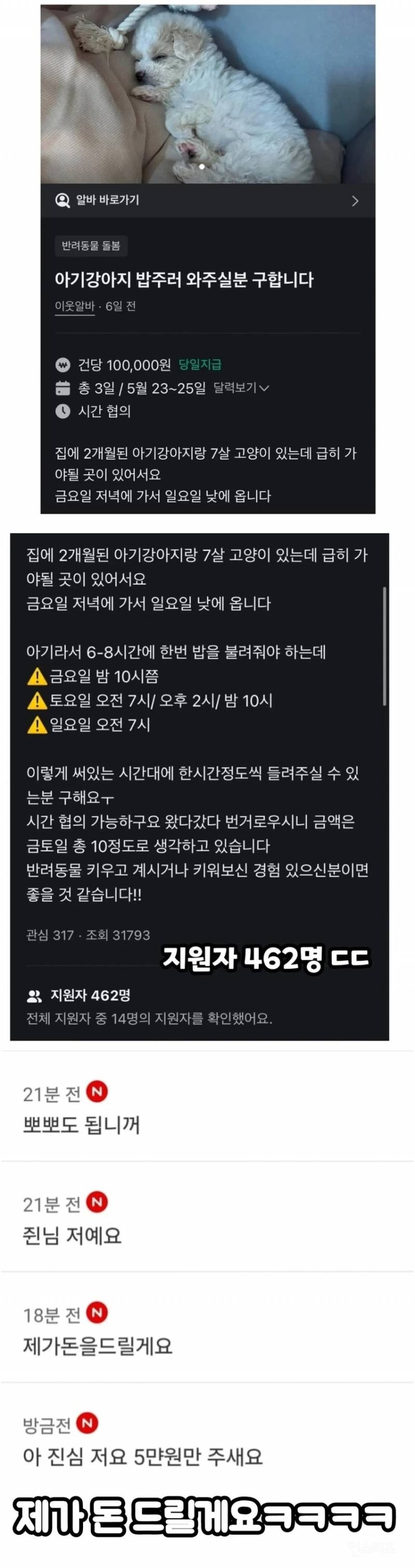 당근 알바 중 400명 넘게 지원한 알바 | 인스티즈