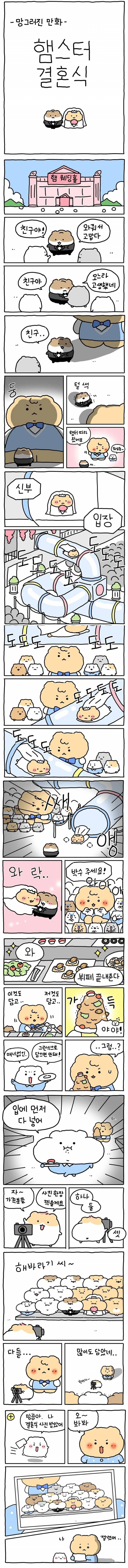 햄스터 결혼식 | 인스티즈