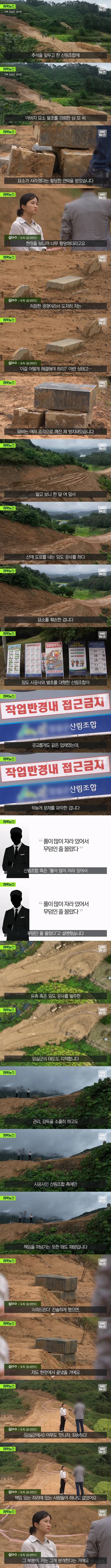아버지 묘소가 사라졌다고 연락받은 사람 | 인스티즈
