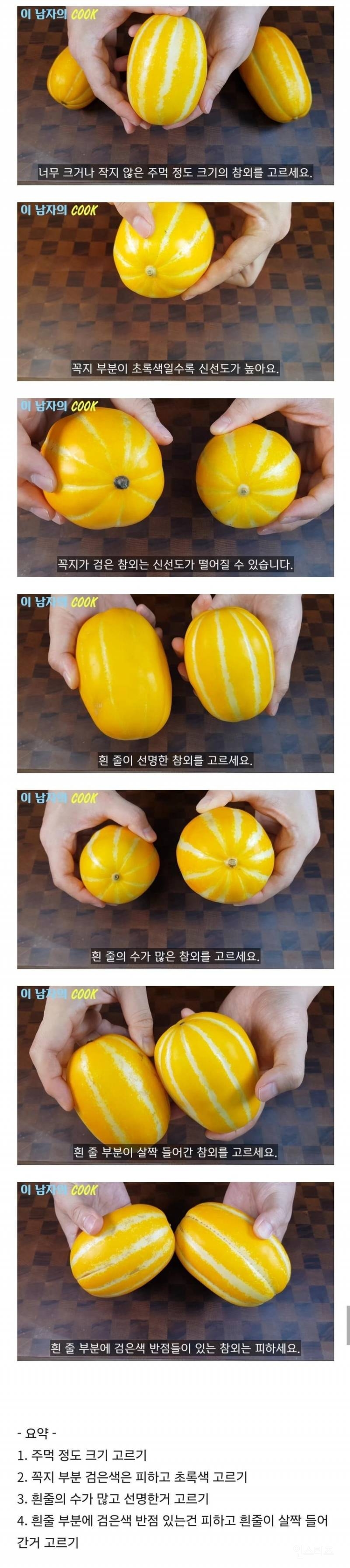고당도 참외 고르는 꿀팁 | 인스티즈