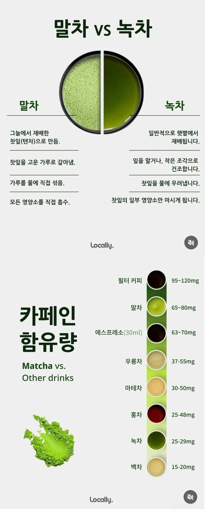 말차와 녹차의 차이점 | 인스티즈