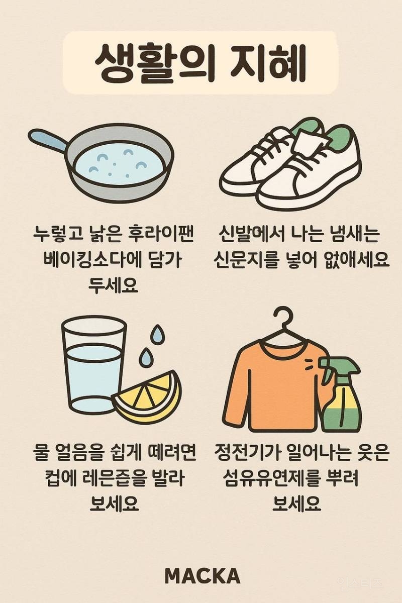 생활의 지혜 | 인스티즈