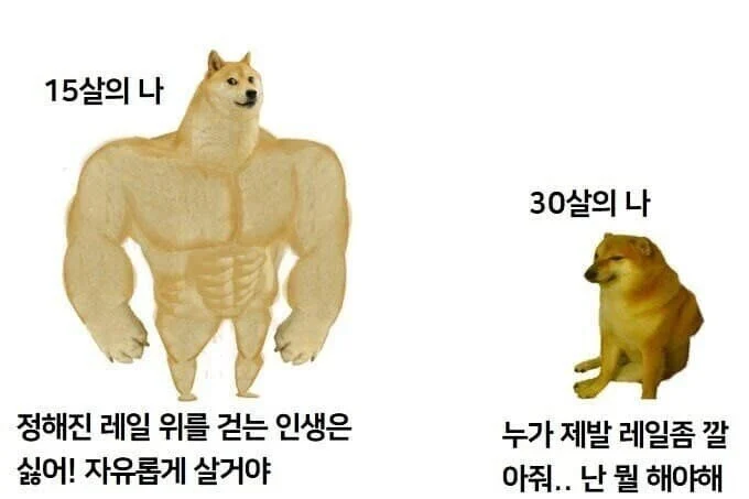 15살 vs 30살 | 인스티즈