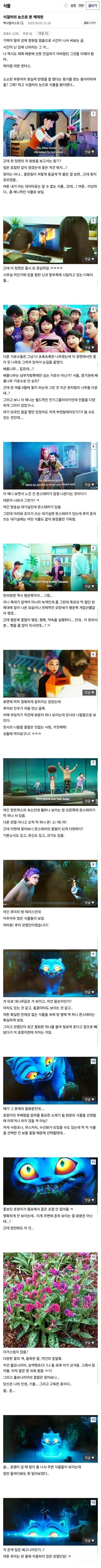 식물갤러의 눈으로 본 케데헌 | 인스티즈