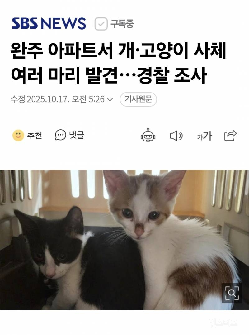 현재 충격적이라는 완주 20대 동물학대 사건 | 인스티즈