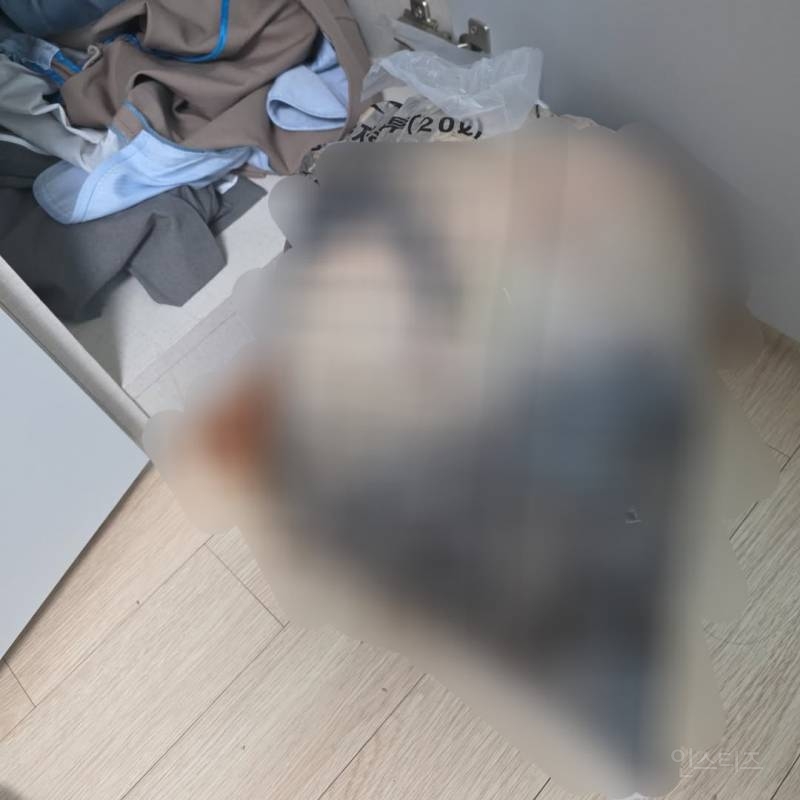 현재 충격적이라는 완주 20대 동물학대 사건 | 인스티즈