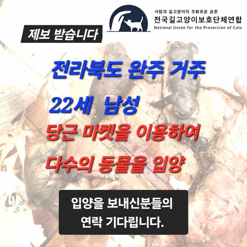 현재 충격적이라는 완주 20대 동물학대 사건 | 인스티즈