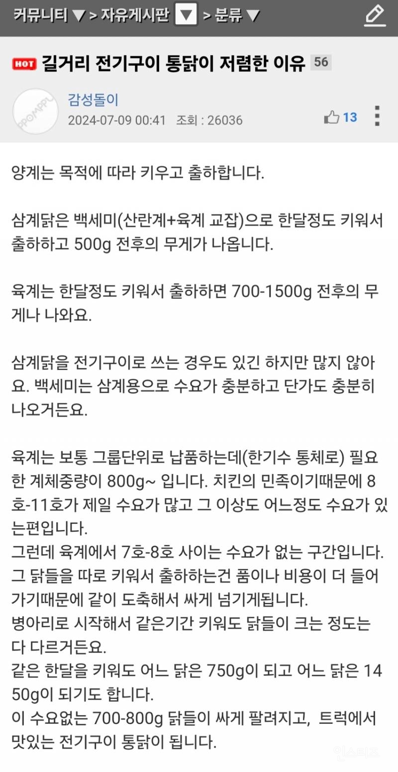 길거리 전기구이 통닭이 저렴한 이유 | 인스티즈