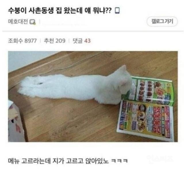 사촌동생 집 왔는데 얘 뭐냐 | 인스티즈