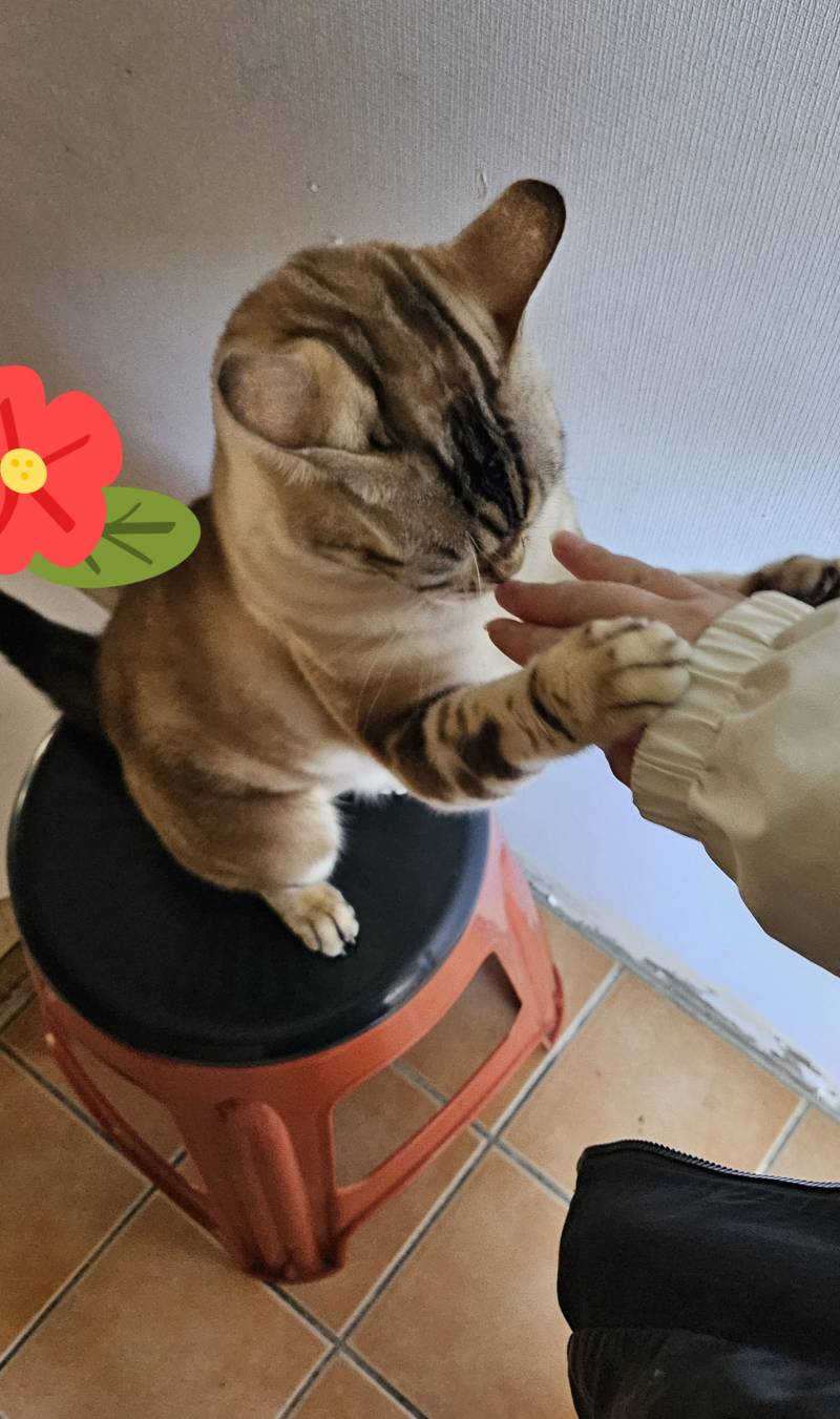 [잡담] 아까 알바 나갈려고 준비 다 했는데 | 인스티즈