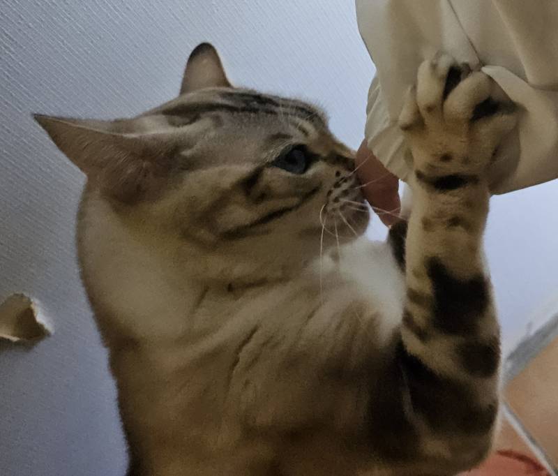 [잡담] 아까 알바 나갈려고 준비 다 했는데 | 인스티즈