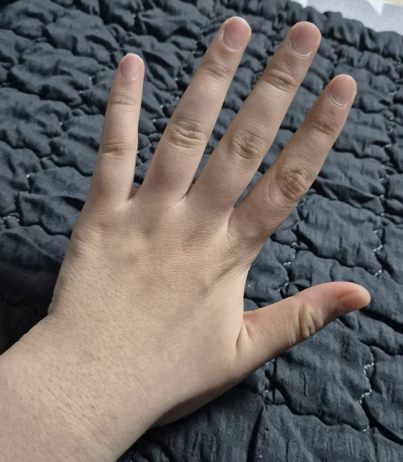 [잡담] 나 손만보면 몇키로 같아? 이정도면 단풍손인가 | 인스티즈