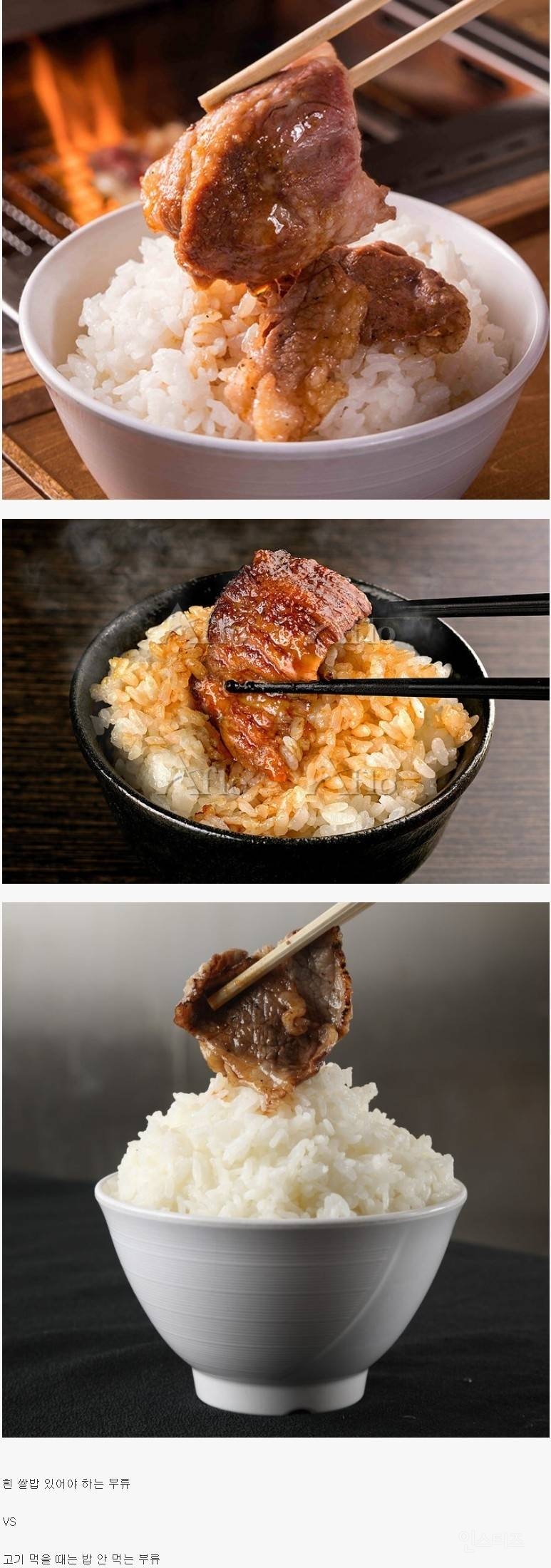 사람마다 갈리는 고기 먹을때 취향 | 인스티즈