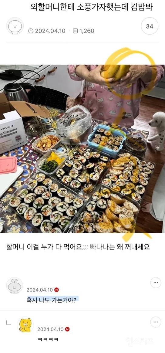 외할머니한테 소풍 가자고 했는데 김밥 봐 | 인스티즈