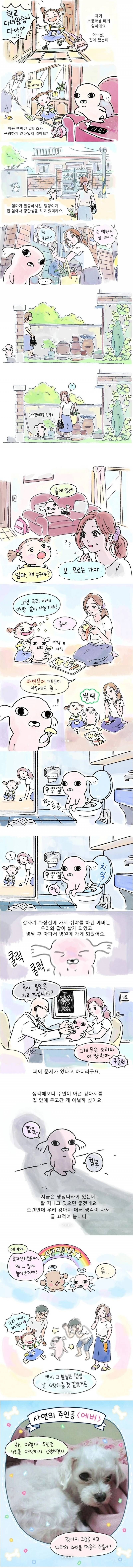학교 다녀와보니 집에 개가 있는.manhwa | 인스티즈