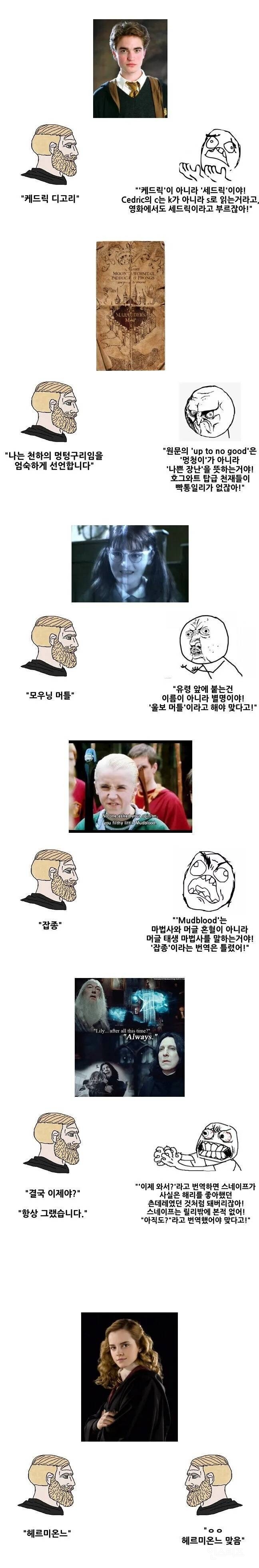 해리포터 고인물의 국내 번역에 대한 반응 | 인스티즈