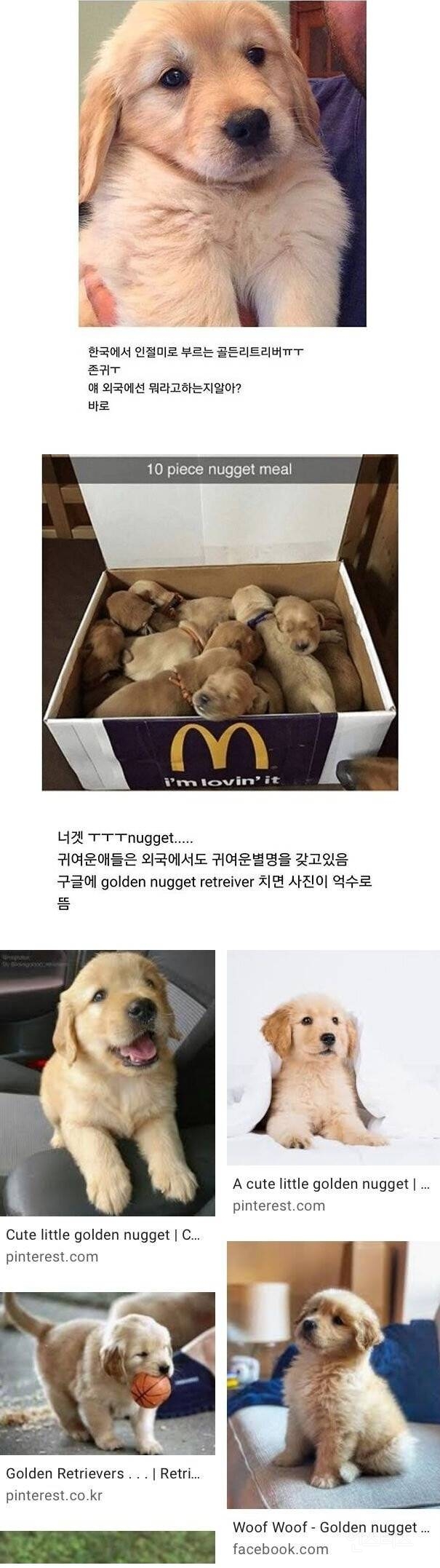 외국에서 부르는 인절미들 별칭 | 인스티즈