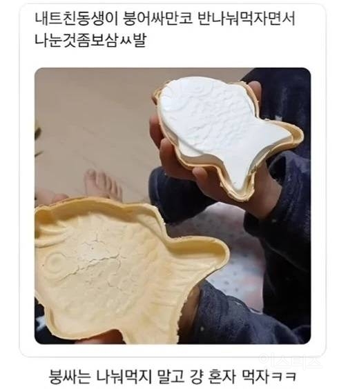 동생과 붕어싸만코를 반씩 나누어 먹기로 했는데 | 인스티즈