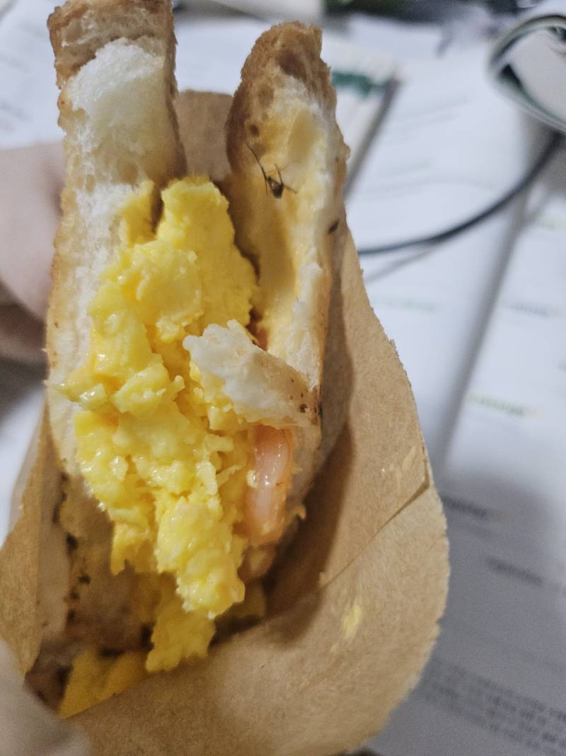 보컬로이드) [잡담] 혐주의 뚜레쥬르 빵에서 모기 나왔어.... | 인스티즈