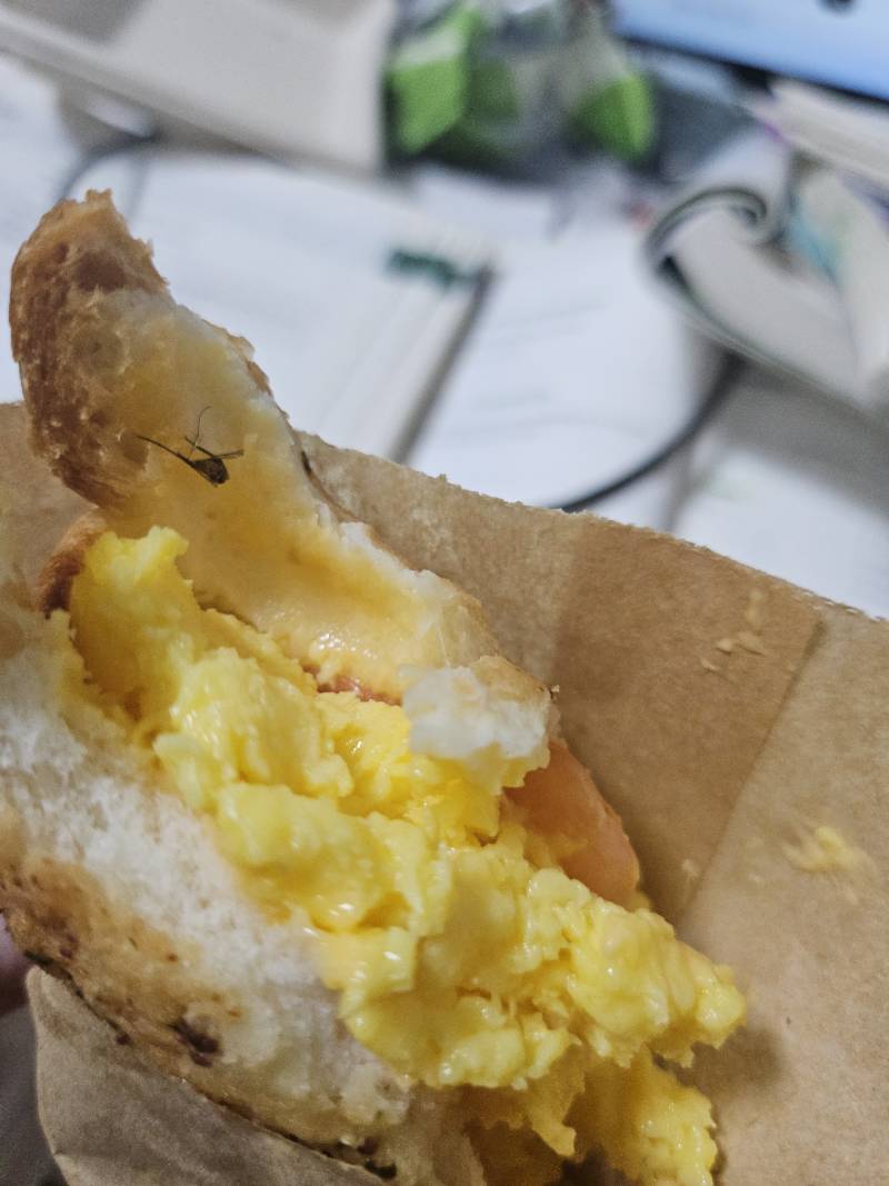 보컬로이드) [잡담] 혐주의 뚜레쥬르 빵에서 모기 나왔어.... | 인스티즈
