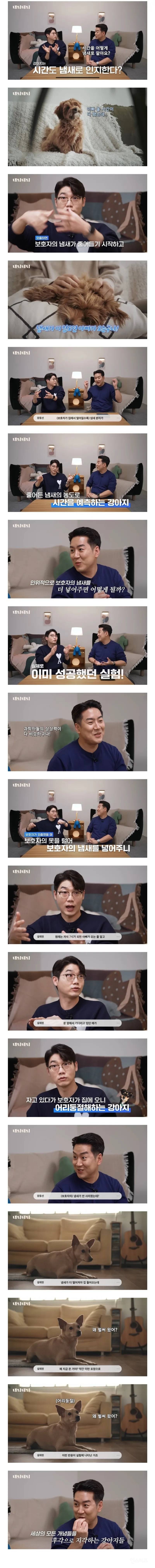 강아지는 냄새로 시간을 파악한다 | 인스티즈