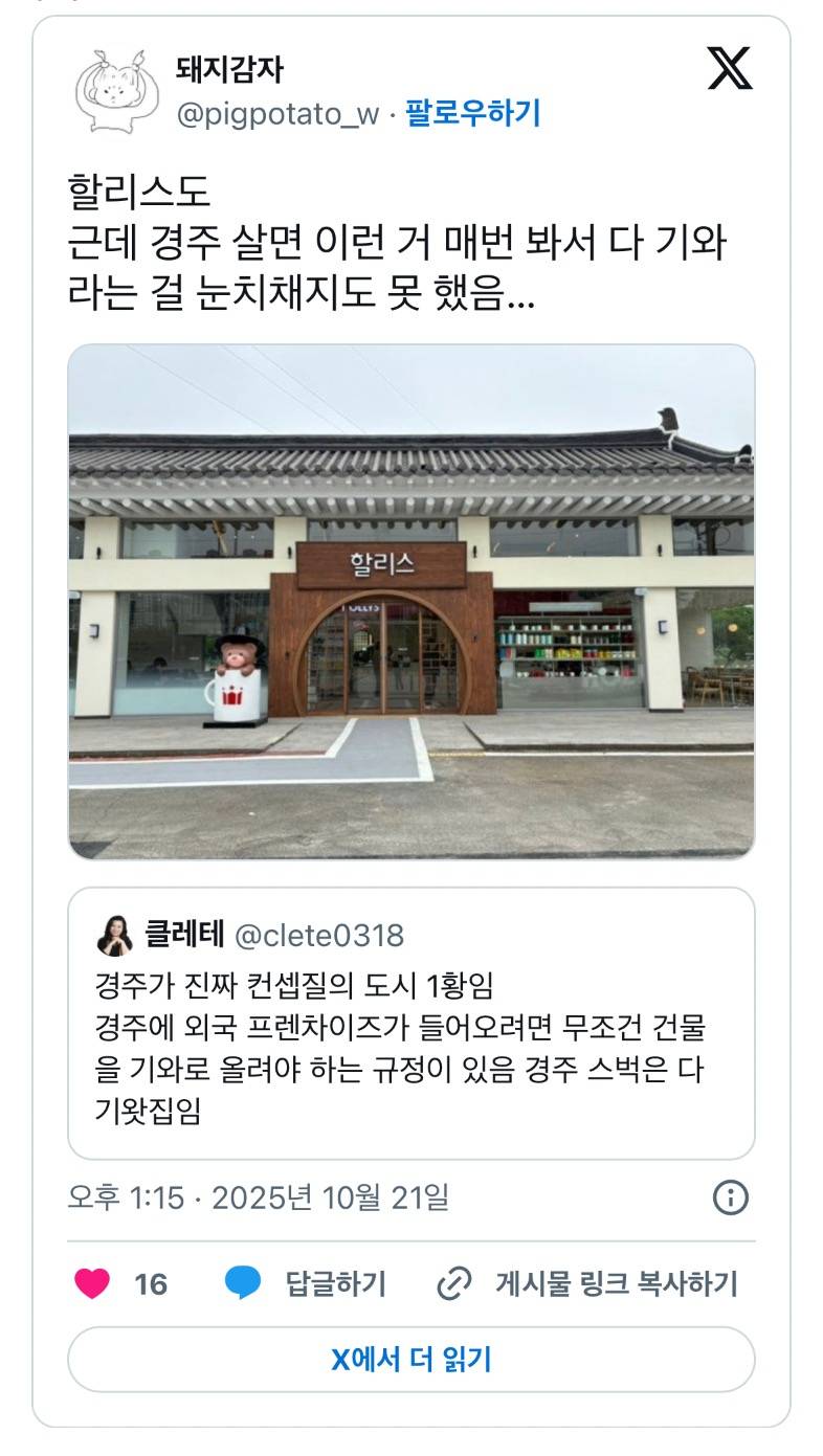 현재 감다살이라는 경주 컨셉질..JPG | 인스티즈