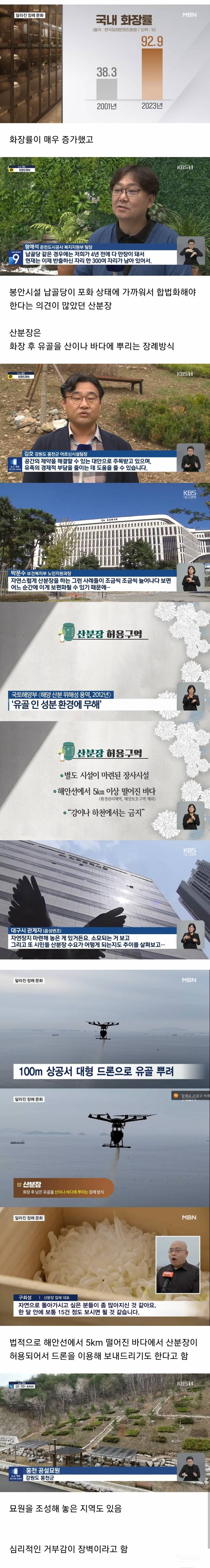 올해 초에 합법화된 장례문화.jpg | 인스티즈