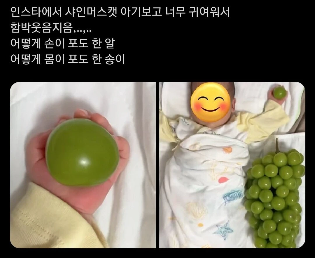 샤인머스켓 한 알 크기 | 인스티즈