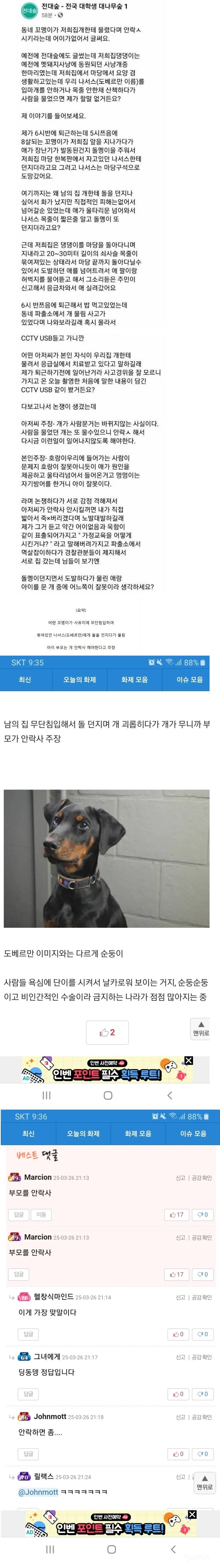 사람 문 개 안락사 논란 | 인스티즈
