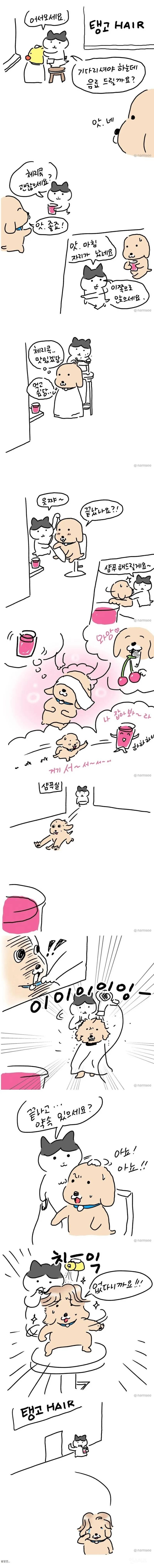 미용실 체리콕 받았던 만화 | 인스티즈