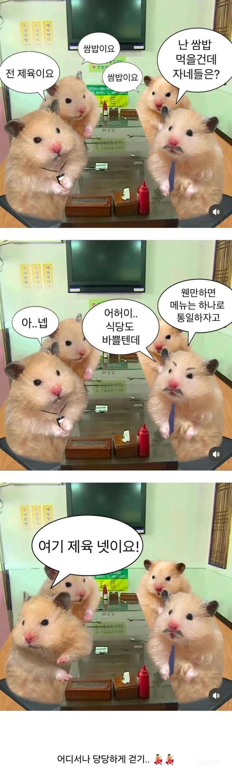 직장인들 점심 제육 통일의 비밀 | 인스티즈