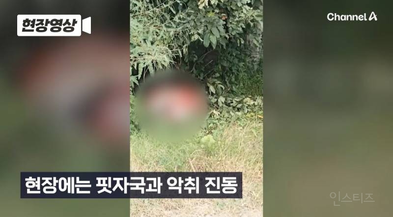 캄보디아서 또... 포대자루 담긴 동양인 시신 2구 발견 | 인스티즈
