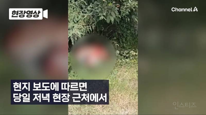 캄보디아서 또... 포대자루 담긴 동양인 시신 2구 발견 | 인스티즈