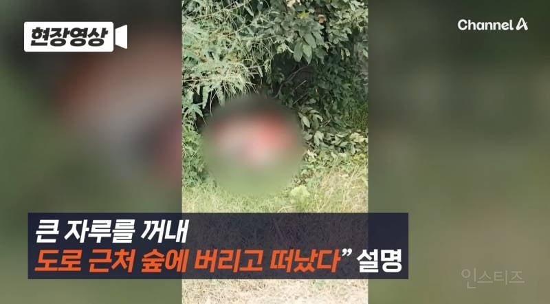 캄보디아서 또... 포대자루 담긴 동양인 시신 2구 발견 | 인스티즈